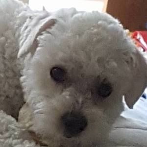 Meet your Posher, Robin